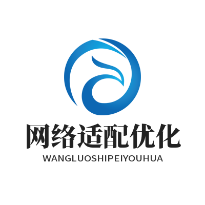 快联VPN网络适配优化