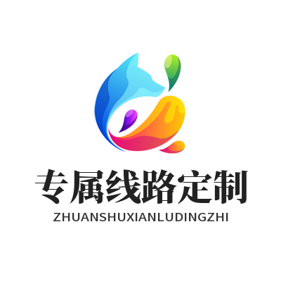 快联VPN 专属线路定制